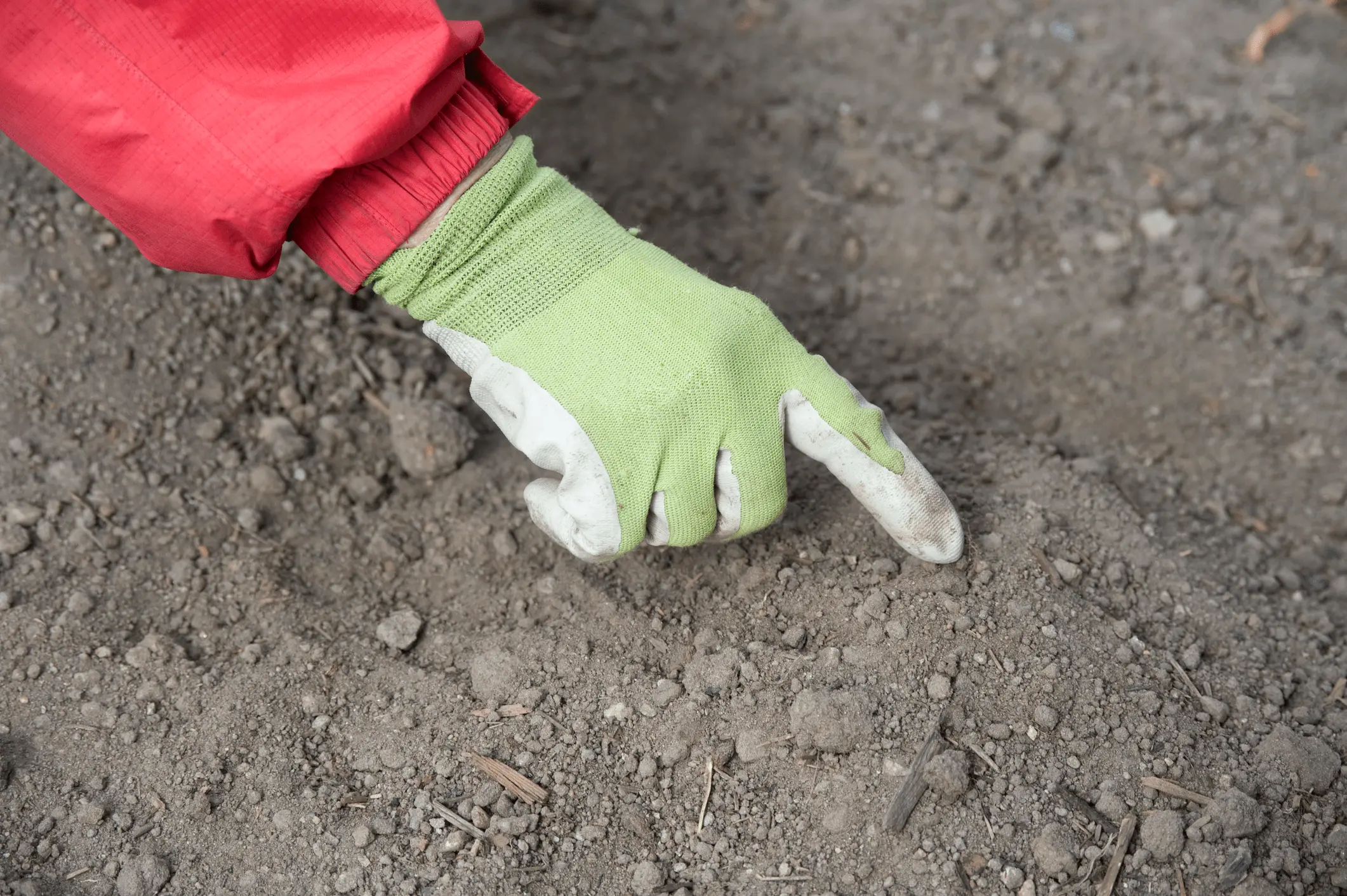 A soil consultant wearing a red work jacket and green gloves inspects the soil by poking his finger into it. The soil consists of loose soil particles, small stones, and organic matter, suggesting a field survey or soil quality test.
